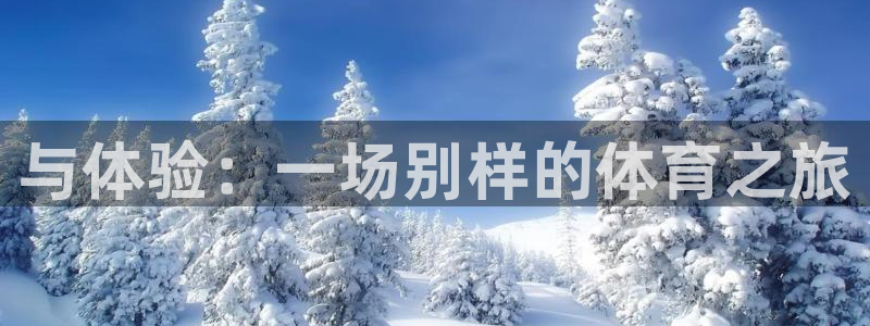 MK体育官方正版app科技:与体验:一场别样的体育之旅