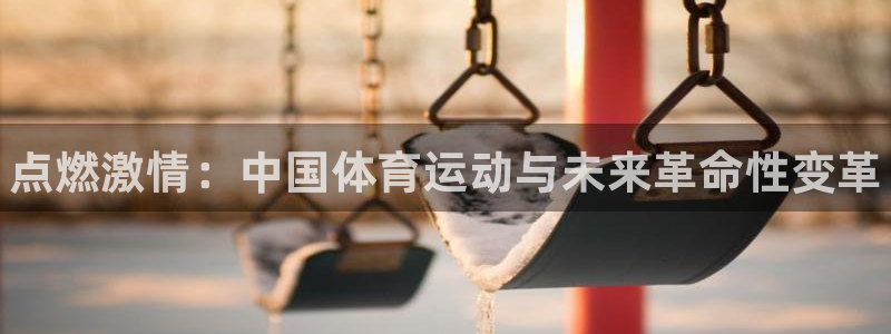 MK体育官网下载平台注册流程图:点燃激情:中国体育运动与未来