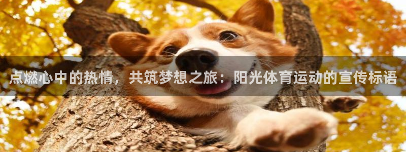 MK体育官方正版app娱乐:点燃心中的热情,共筑梦想之旅:阳