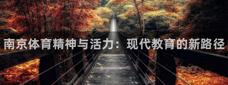 MK体育官方正版app娱乐首页官网下载:南京体育精神与活力: