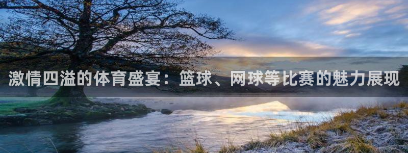 MK体育官网下载官方客服电话:激情四溢的体育盛宴:篮球、网球