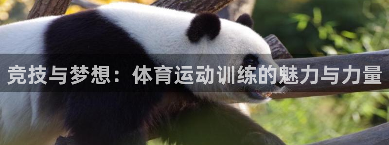 MK体育官方正版app娱乐首页官网下载:竞技与梦想:体育运动