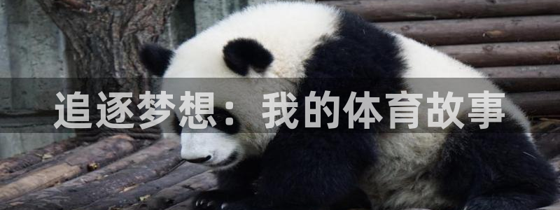 MK体育官网下载:追逐梦想:我的体育故事