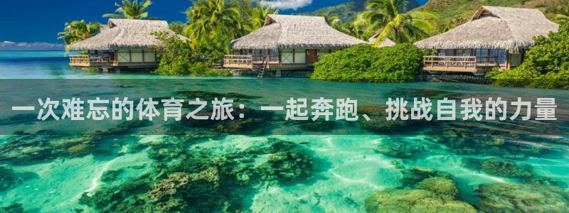 MK体育官网下载平台注册流程视频:一次难忘的体育之旅:一起奔